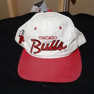 Vintage bulls hat